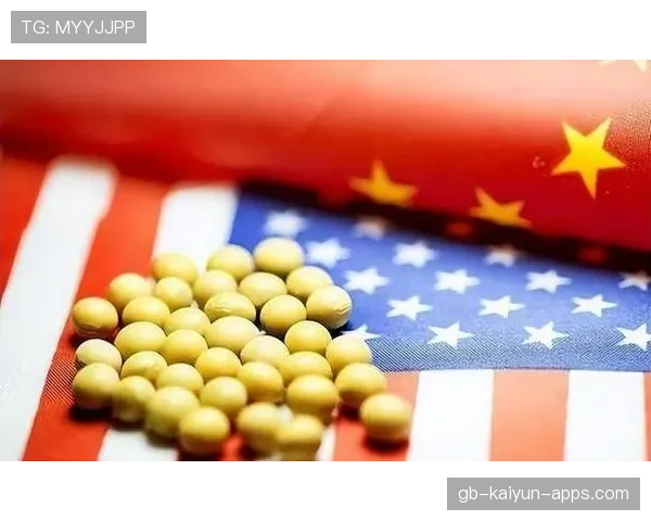 商务部发声：大豆贸易是中美地方经贸合作关键一环，中国与美国的大豆贸易模型
